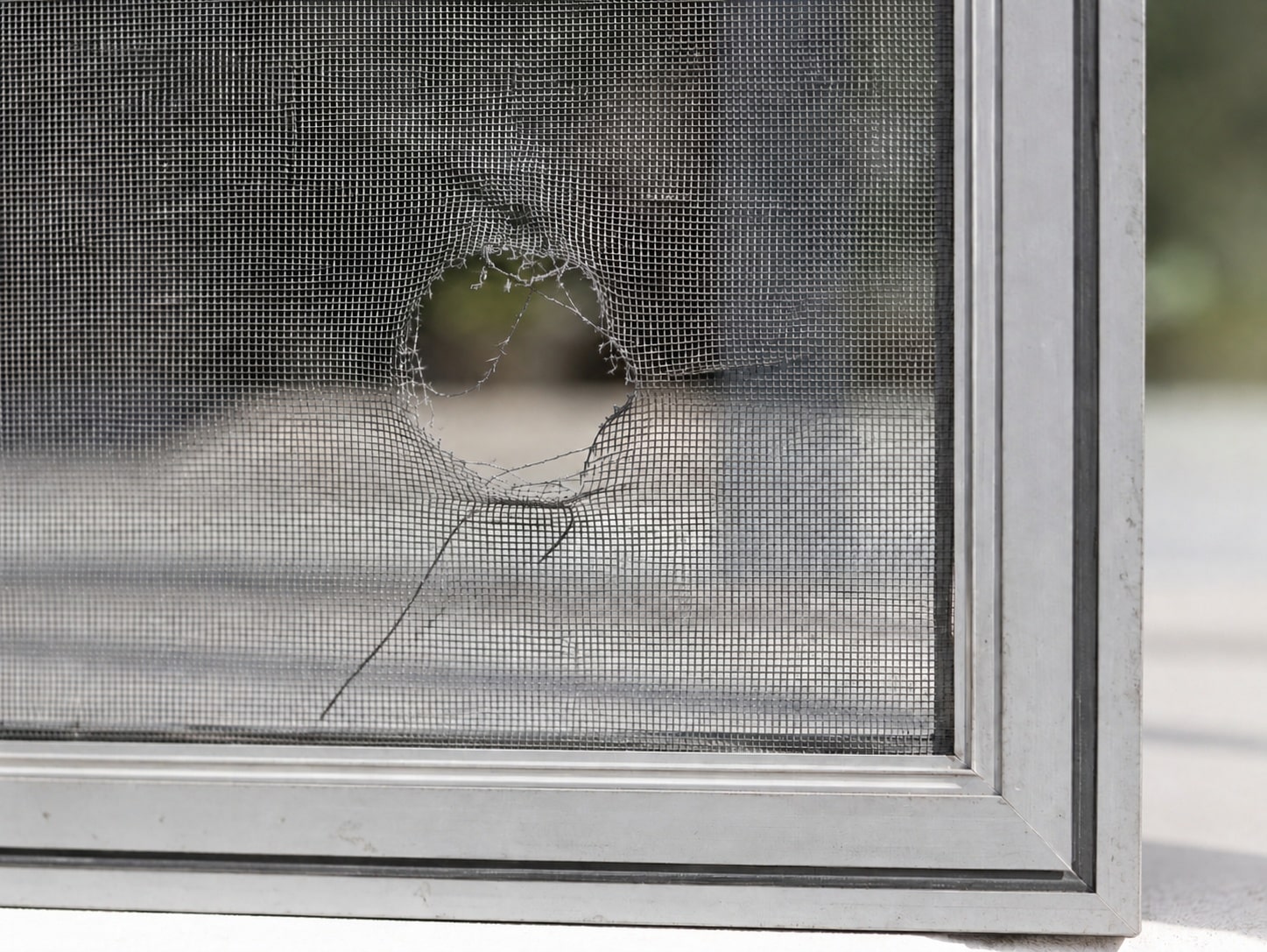 Damaged window screens needing repair