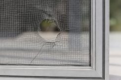 605 Damaged Window Screens